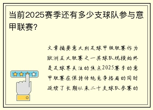当前2025赛季还有多少支球队参与意甲联赛？