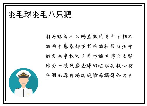 羽毛球羽毛八只鹅