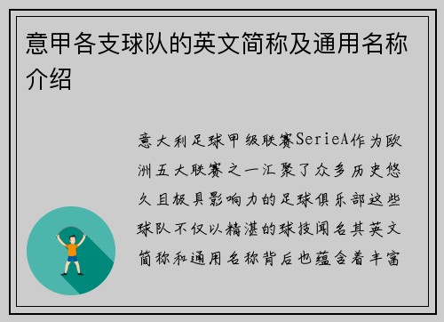 意甲各支球队的英文简称及通用名称介绍